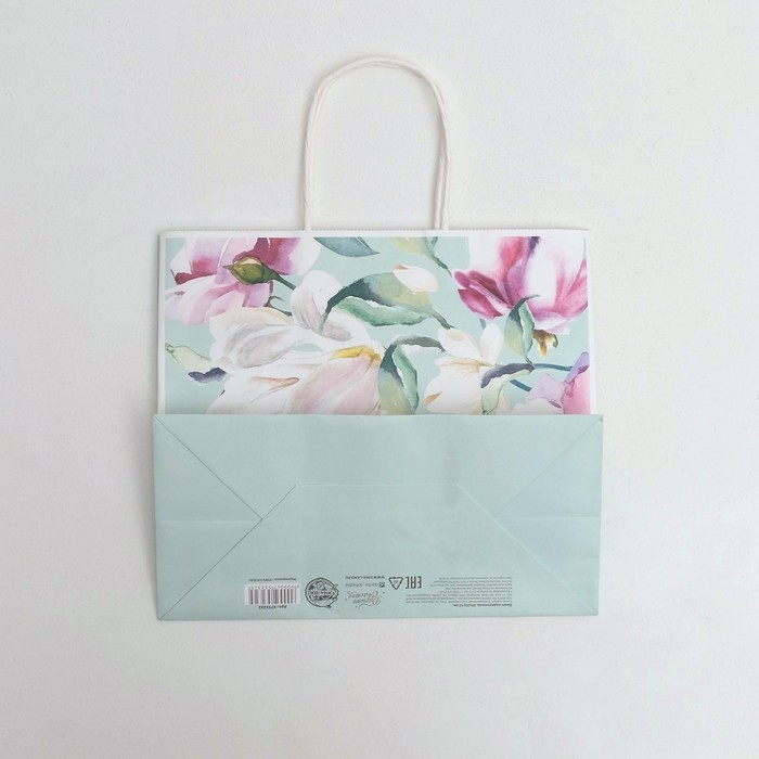 Пакет подарочный крафтовый, упаковка, &laquo;Present&raquo;, 25 х 22 х 12 см