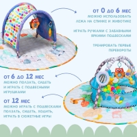 Развивающий игровой набор 5 в 1 &laquo;Коврик-мешок и игровой центр&raquo;, 30 шаров, 83х71х0,5 см.