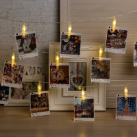 Гирлянда &laquo;Нить&raquo; 4.5 м с насадками &laquo;Прищепки&raquo;, IP20, прозрачная нить, 20 LED, свечение тёплое белое, 220 В