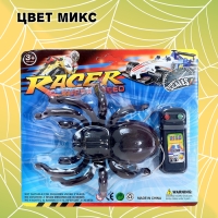 Животное &laquo;Паук&raquo;, на дистанционном управлении, работает от батареек, цвета МИКС