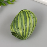 Тесьма декоративная бумага "Рафия меланж" намотка 20 м МИКС