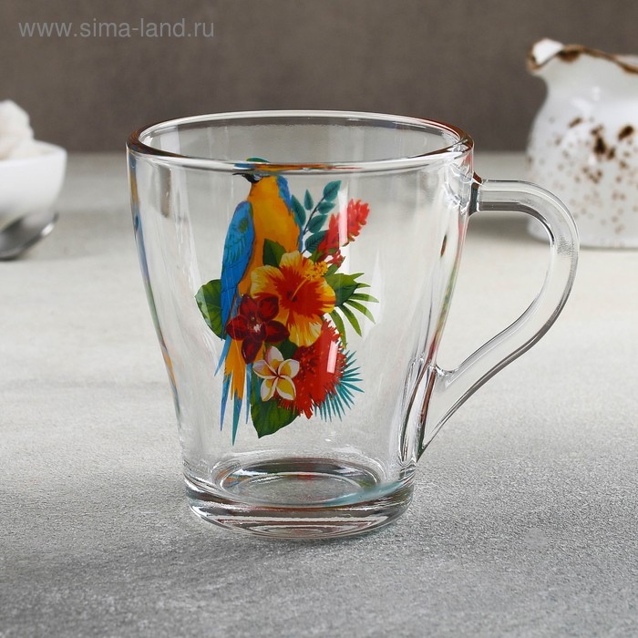 Кружка стеклянная &laquo;Тропические птицы&raquo;, 250 мл, рисунок МИКС