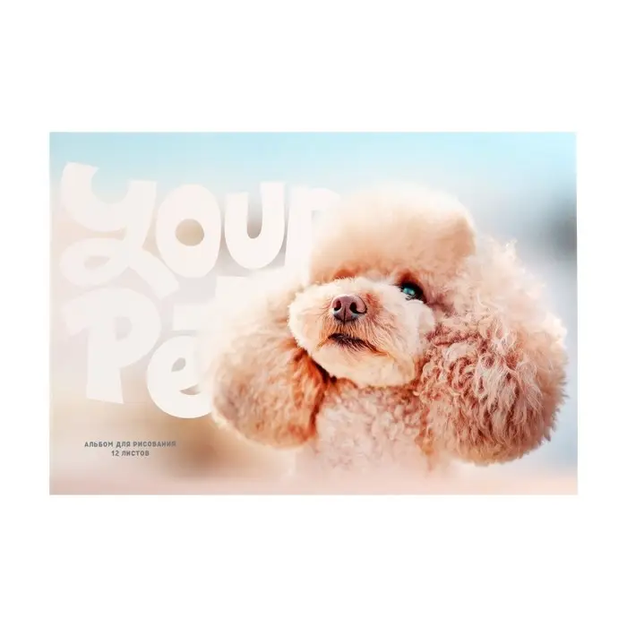 Альбом для рисования А4, 12 листов на скрепке BG "Моё лето", обложка мелованный картон, блок офсет 100 г/м2, МИКС