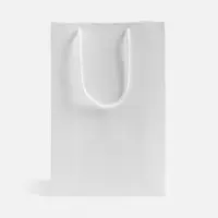 Пакет бумажный с ламинацией Lami S, белый