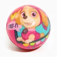 Щенячий патруль. Мягкий мяч "Щенки-молодцы!" 6,3 см, МИКС