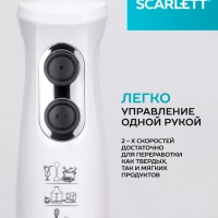 Погружной блендер измельчитель 4в1 SC-HB42M33