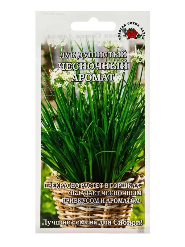 Семена Лук Душистый Чесночный аромат /Сотка/ 0,3г/среднесп. 35-50см /*1000