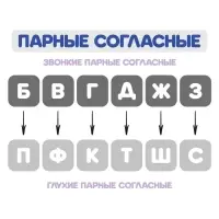 Веер-касса, парные согласные буквы, Calligrata, пакет с европодвесом