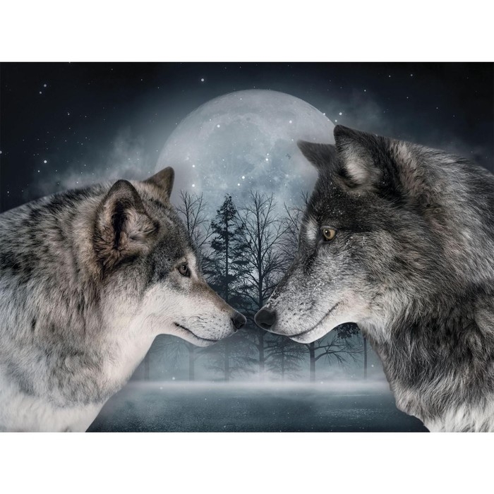 Алмазная мозаика с полным заполнением на холсте &laquo;Волки&raquo;, 30 х 40 см
