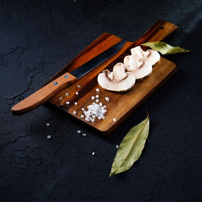 Нож кухонный Доляна &laquo;Эльбрус&raquo;, лезвие 11,5 см