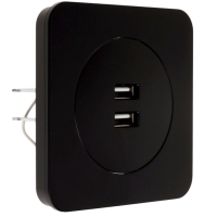 Розетка с 2 USB-A разъёмами, 2.1А, 5В, серия "Circular", 10 А, скрытая, черная