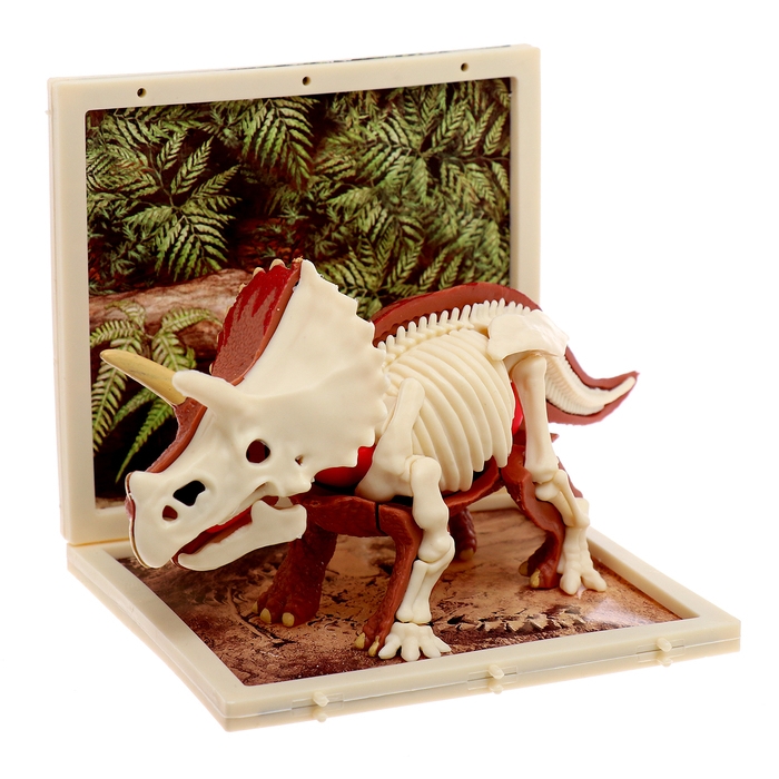 Набор для опытов &laquo;Диномир: Трицератопс&raquo;, строение тела динозавра, 33 детали