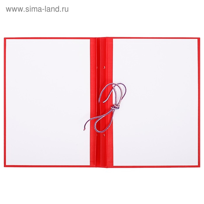 Папка для дипломных работ (без надписи) бумвинил, гребешки/сутаж, без бумаги, красная (вместимость до 300 листов)