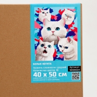 Картина по номерам на холсте с подрамником &laquo;Белые котята&raquo;, 40 х 50 см