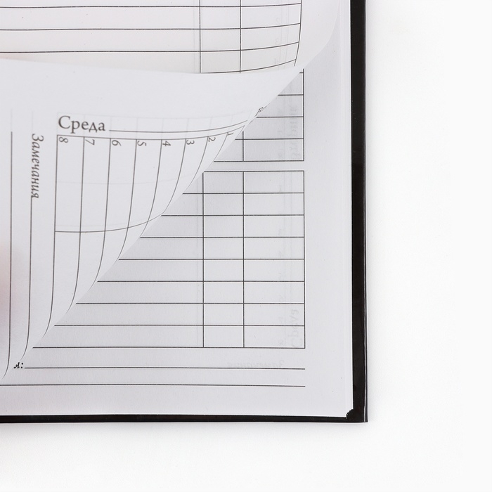 Дневник школьный 1-4 класса, в твердой обложке, 48 л &laquo;Футбольный мяч&raquo;