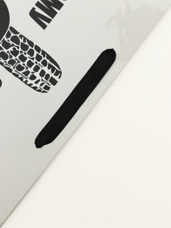 Пакет подарочный вертикальный "Самому смелому", 31 &times; 40 &times; 14 см