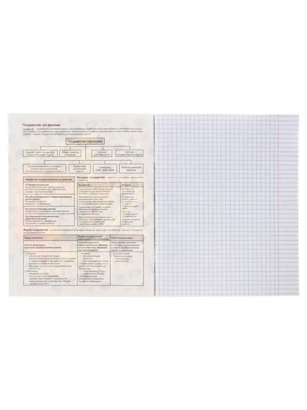 Тетрадь предметная 48 листов в клетку Calligrata, &laquo;Кеды. Обществознание&raquo;, картонная обложка