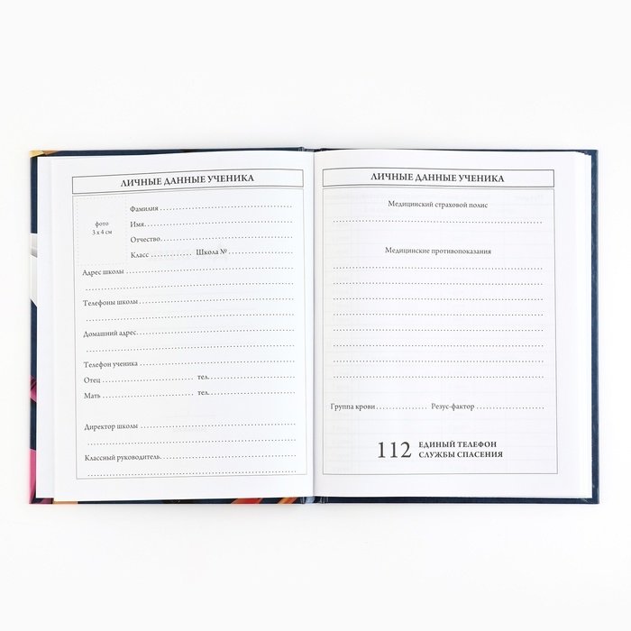 Дневник школьный 5-11 класс, в твердой обложке, 48 л. &laquo;Синий мрамор&raquo;