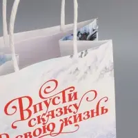 Пакет под бутылку &laquo;Впусти сказку в свою жизнь&raquo;, 13 x 36 x 10 см