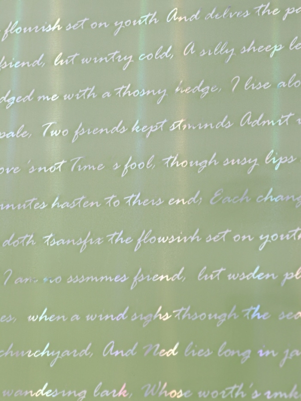 Плёнка для цветов "Письмо" 58см*5м, светло зелёный