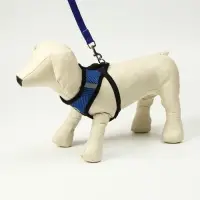 Комплект амуниции с мягкой шлейкой и светоотражающей нашивкой, M, ОШ 26,  ОГ 36-44, синий