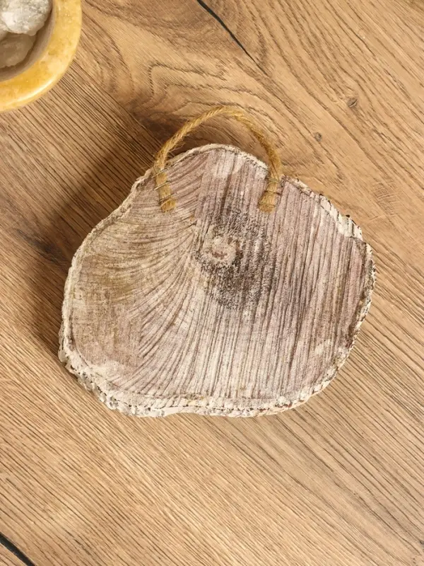 Панно &laquo;Кактус&raquo;, 17&times;18&times;5 см, дерево Албезия