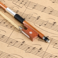 Смычок для скрипки Music Life 1/2