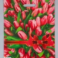 Пакет &laquo;Атласный бант&raquo;, полиэтиленовый с вырубной ручкой, 37&times;46 см, 30 мкм