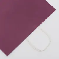 Пакет крафт сиреневый, круглая ручка, 32&times;19.5&times;37 см, 120 г