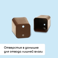 Набор для рассады: стаканы по 70 мл (24 шт.), поддон 29,5 &times; 20 см, МИКС