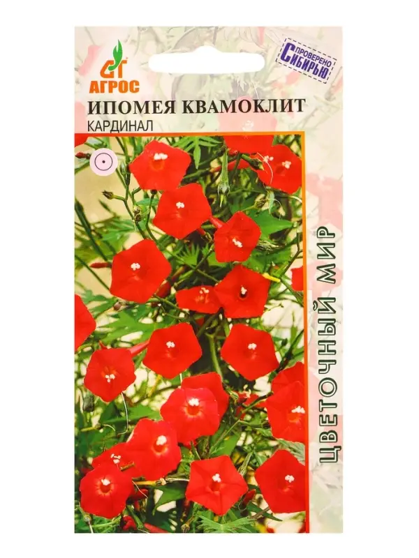 Семена Ипомея квамоклит Кардинал 10 шт