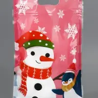 Пакет подарочный, с zip-lock застежкой, "Друзья дедушки Мороза", 15х22см МИКС