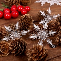 Набор декора &laquo;Ледяная сказка&raquo;