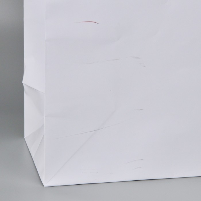 Пакет подарочный ламинированный, упаковка, &laquo;Белый&raquo;, 40 х 49 х 15 см