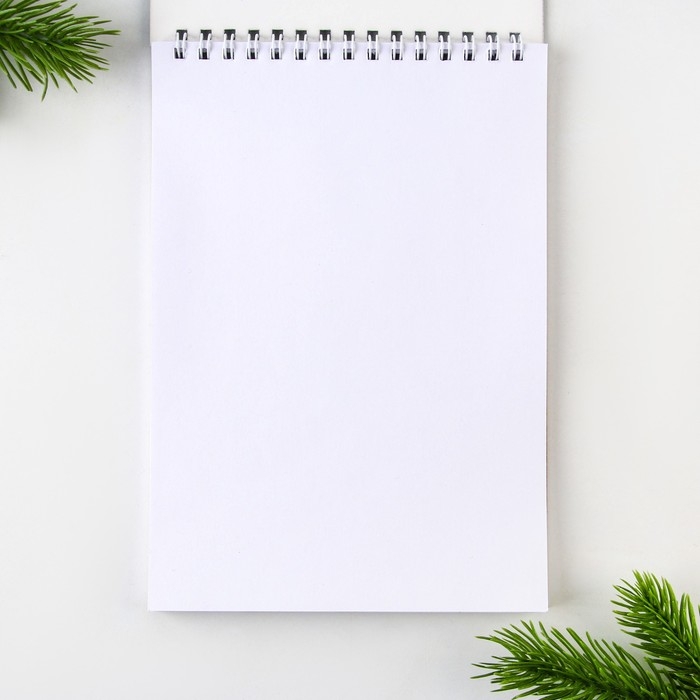 Новый год. Скетчбук А5 40 л в тонкой обл на гребне 100г/м2 &laquo;Дед мороз&raquo;