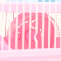 Клетка для грызунов "Пижон" с замком, 31 х 24 х 27 см, розовая