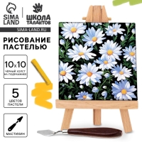 Рисование пастелью c холстом на подрамнике &laquo;Ромашки&raquo;, набор для творчества