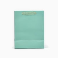 Пакет ламинированный вертикальный &laquo;Поздравляю&raquo;, MS 18 х 23 х 10 см