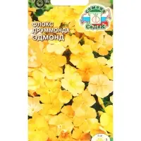 Семена цветов Флокс "Эдмонд", Евро, 0,2 г