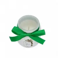 Ароматическая свеча в матовом стакане &laquo;С Новым годом&raquo;, аромат хвойный лес