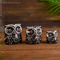 Сувенирный набор дерево "Совы с перьями"*(3 шт) 6х19х8 см