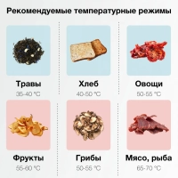 Сушка для фруктов и овощей HYFD-1803 27под. 700Вт