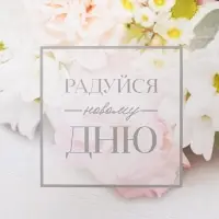 Коробка для печенья, кондитерская упаковка с пластиковой крышкой, &laquo;Радуйся новому дню&raquo;, 18 х 18 х 3 см