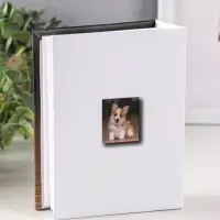 Фотоальбом 100 фото "Собачка"  10X15см, ПП карм.