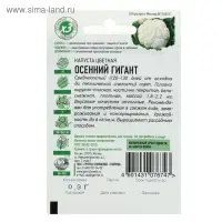 Семена Капуста цветная "Осенний гигант", ц/п, 0,1 г серия ХИТ х3