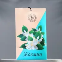 Аромасаше "Жасмин", 10 г, "Богатство Аромата"