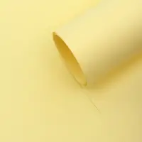 Бумага упаковочная крафт &laquo;Жёлтый&raquo;, 50&times;70 см