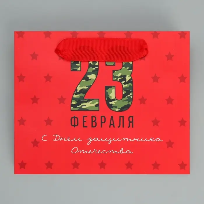 Пакет подарочный ламинированный, упаковка, &laquo;С 23 февраля&raquo;, S 15 х 12 х 5.5 см