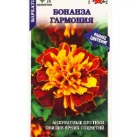 Семена Бархатцы Бонанза Гармония /Сотка/ 10шт/ откл. 30см, d-8см/*1500