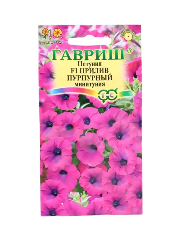 Семена цветов Петуния Прилив Пурпурный F1 (Минитуния) суперкаскад. 4 шт. гранул. проб. серия Элитная